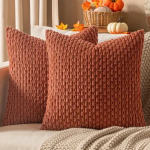 Accent Pillow